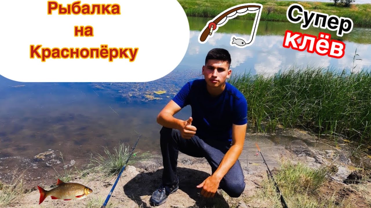 Летняя рыбалка на реке. Рыбалка на живца и червя!!!
