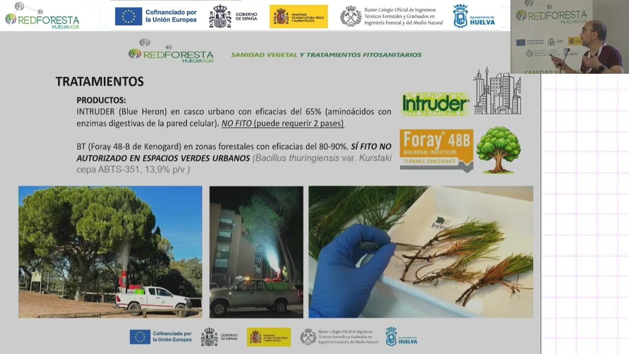 REDFORESTA HUELVA 2026 - Manejo de la procesionaria, ¿se puede trasladar la gestión urbana al me...?