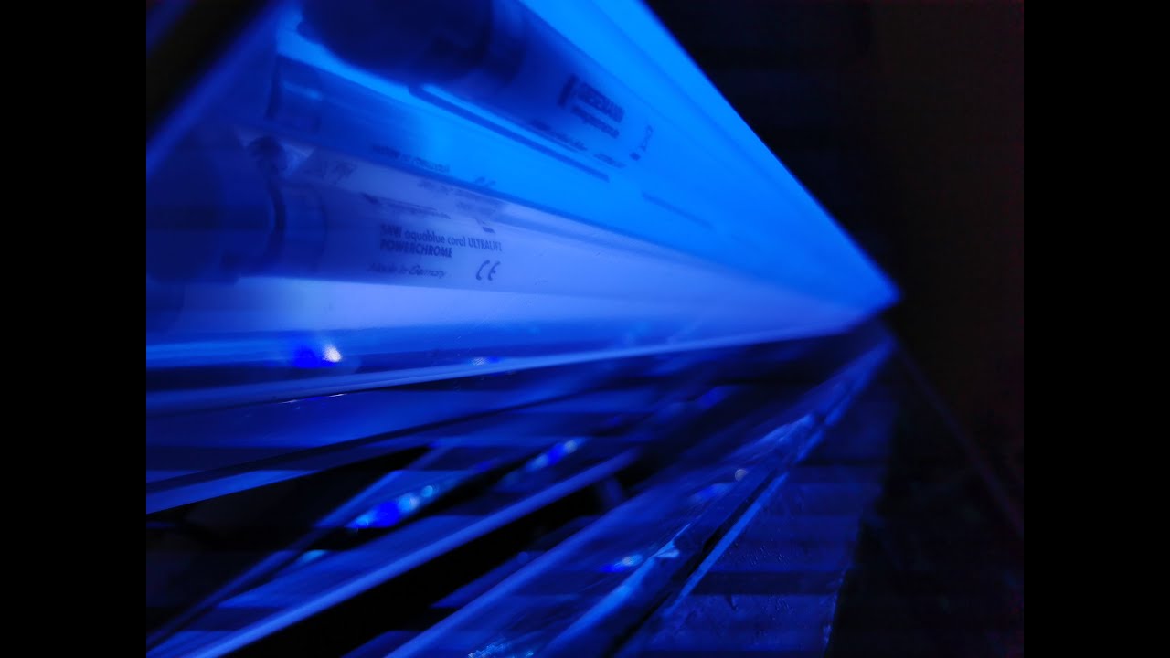 Giesemann Stellar, Vervve LED Software Hybrid Meerwasseraquarium Beleuchtung Lampe