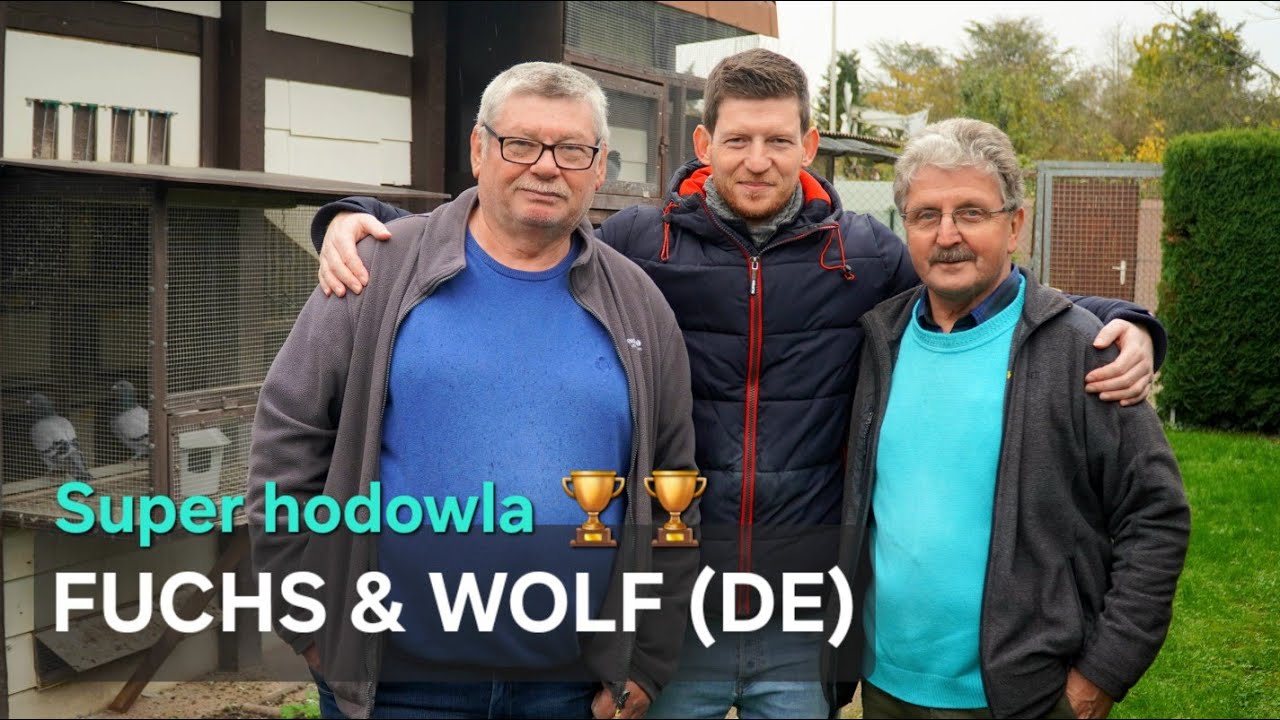 FUCHS & WOLF - Mistrzowska hodowla gołębi z Niemiec 🔝🏆🇩🇪