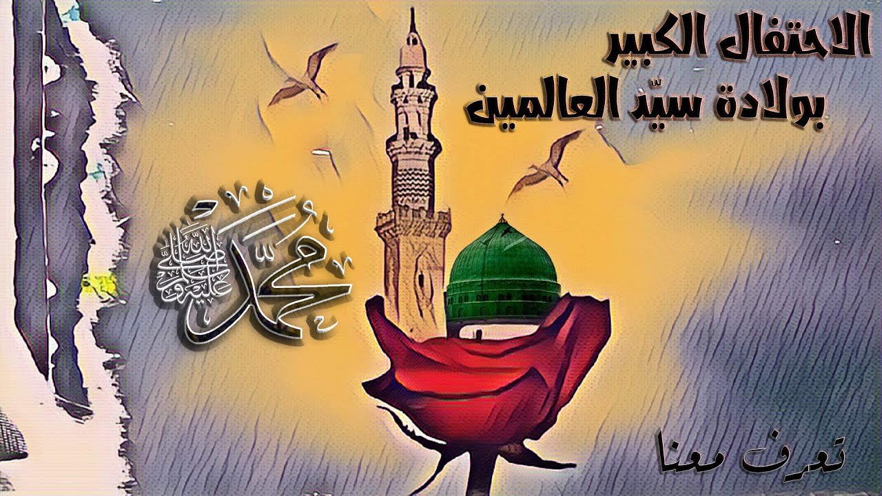 الاحتفال الكبير بولادة سيّد العالمين 🌺تعرف معنا🌺 برج أبي حيدر - بيروت - المولد النبوي الشريف