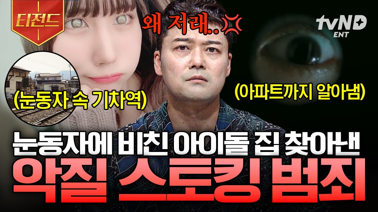 [#프리한19] 어긋난 팬심으로부터 비롯된 소름 끼치는 사건들😡 전 세계의 도 넘은 스토킹 범죄 | #티전드