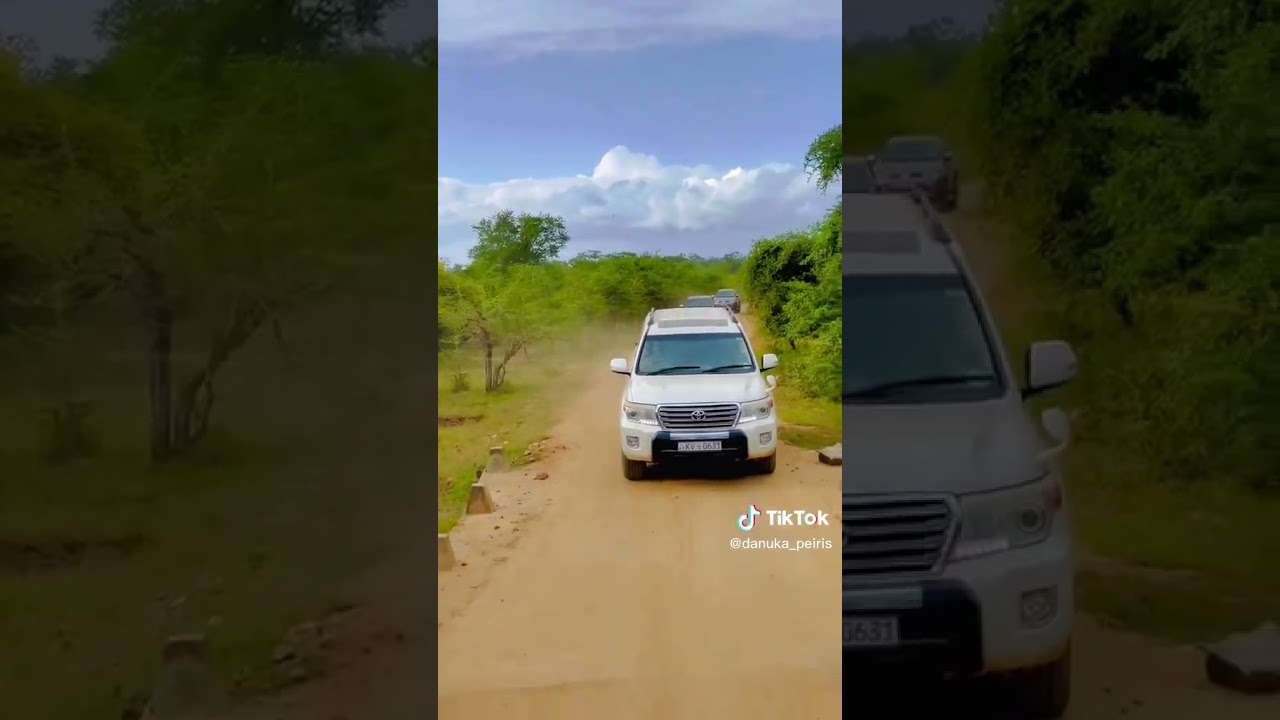 Toyota land cruiser sahara v8 sri lankan tiktok#vip #vehicles #offroad