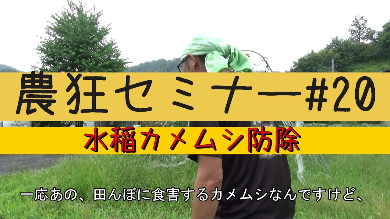 水稲カメムシ防除