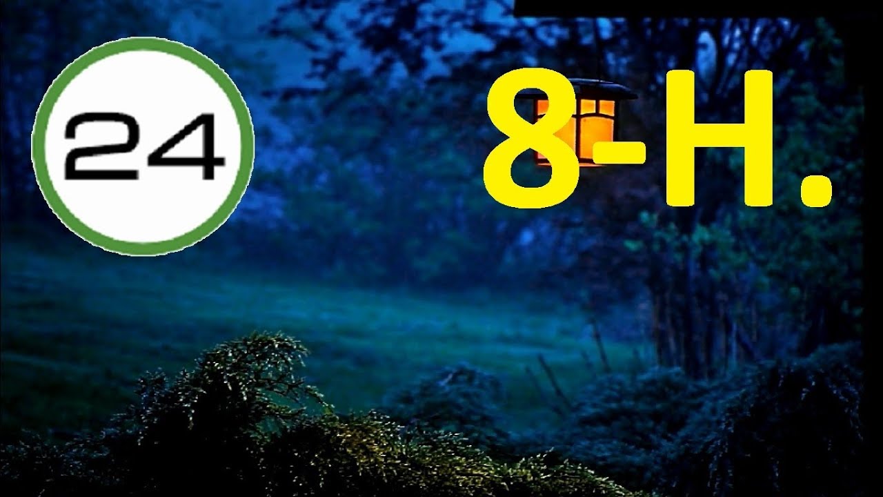 SONIDO de GRILLOS y P&Aacute;JAROS para DORMIR 8 HORAS🐜🐦 Sonidos Nocturnos de la Naturaleza para Dormir