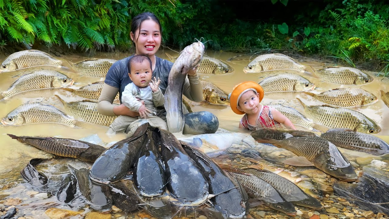 Encounter a huge school of carp & giant catfish to sell, how to make salted fish for preservation