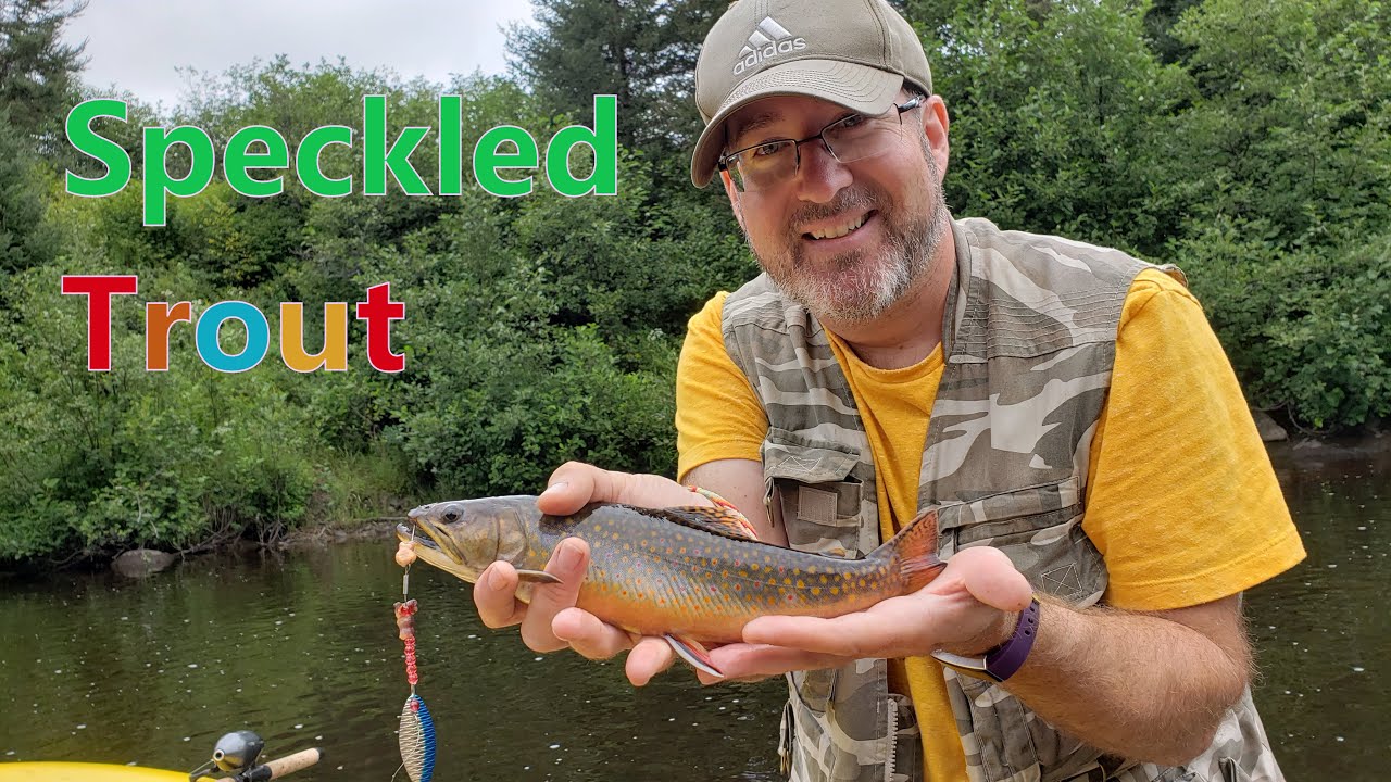 Speckled Trout Fishing In Beautiful Canada