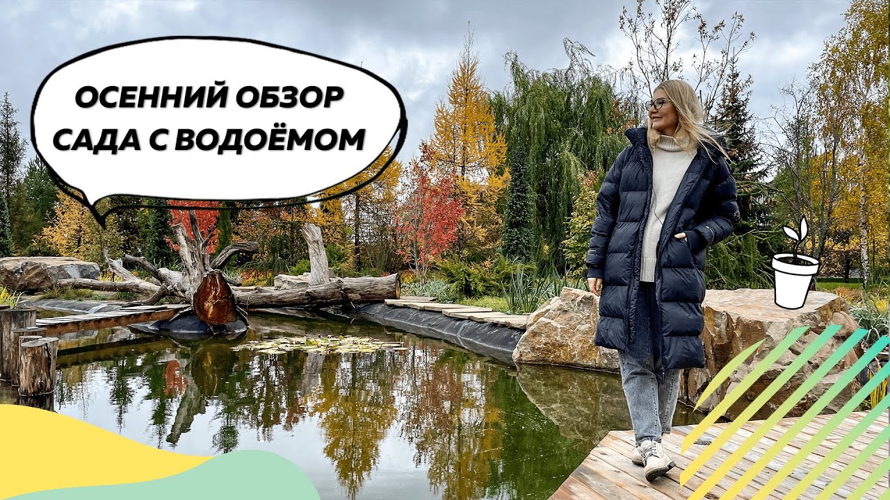Осенний обзор сада с водоемом | Пруд в саду | Кулисная посадка | Как создать подлесок