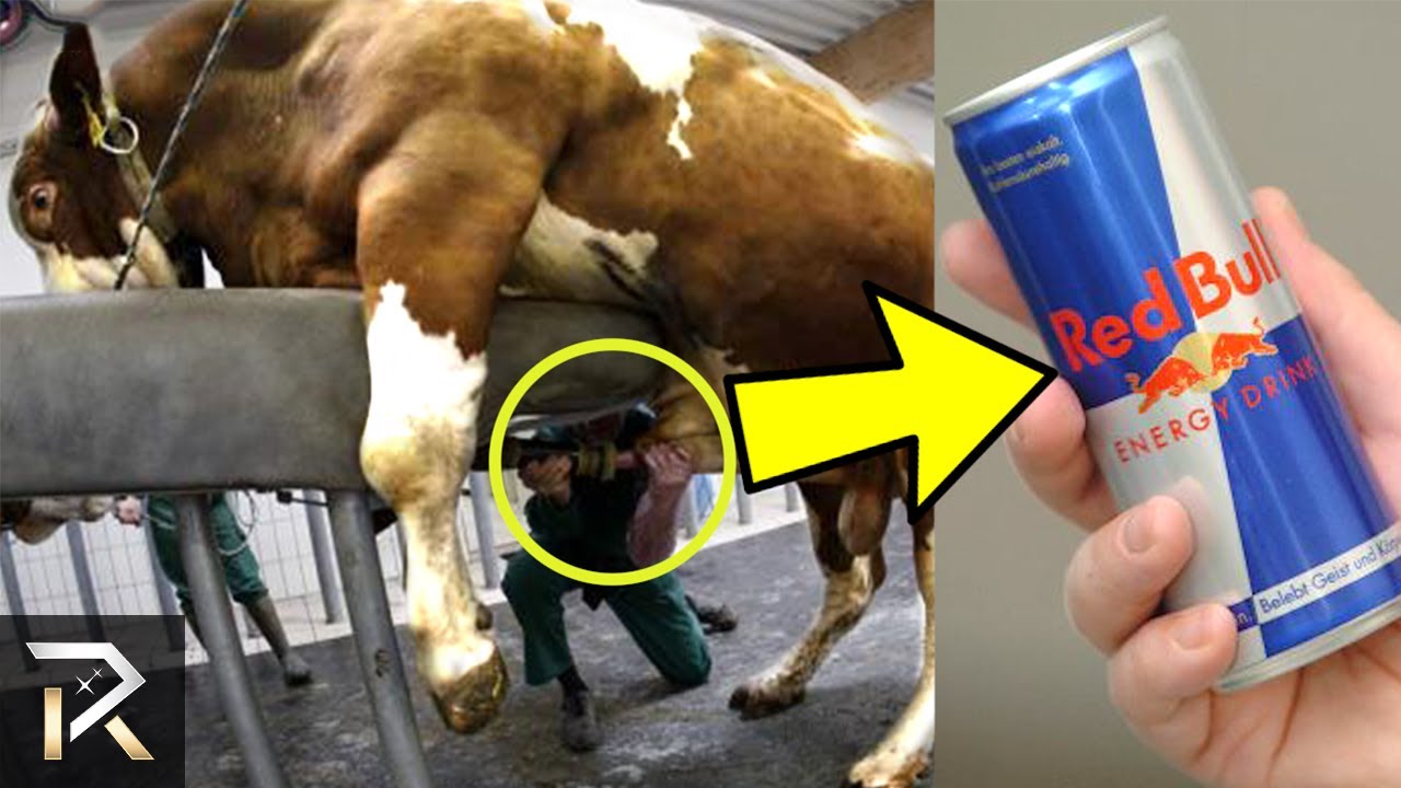 Everyday Products With HIDDEN INGREDIENTS