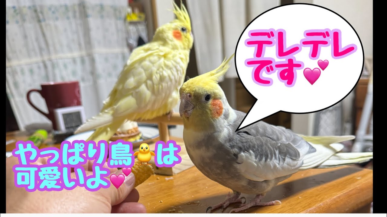 ここまでなってくれました😊💕