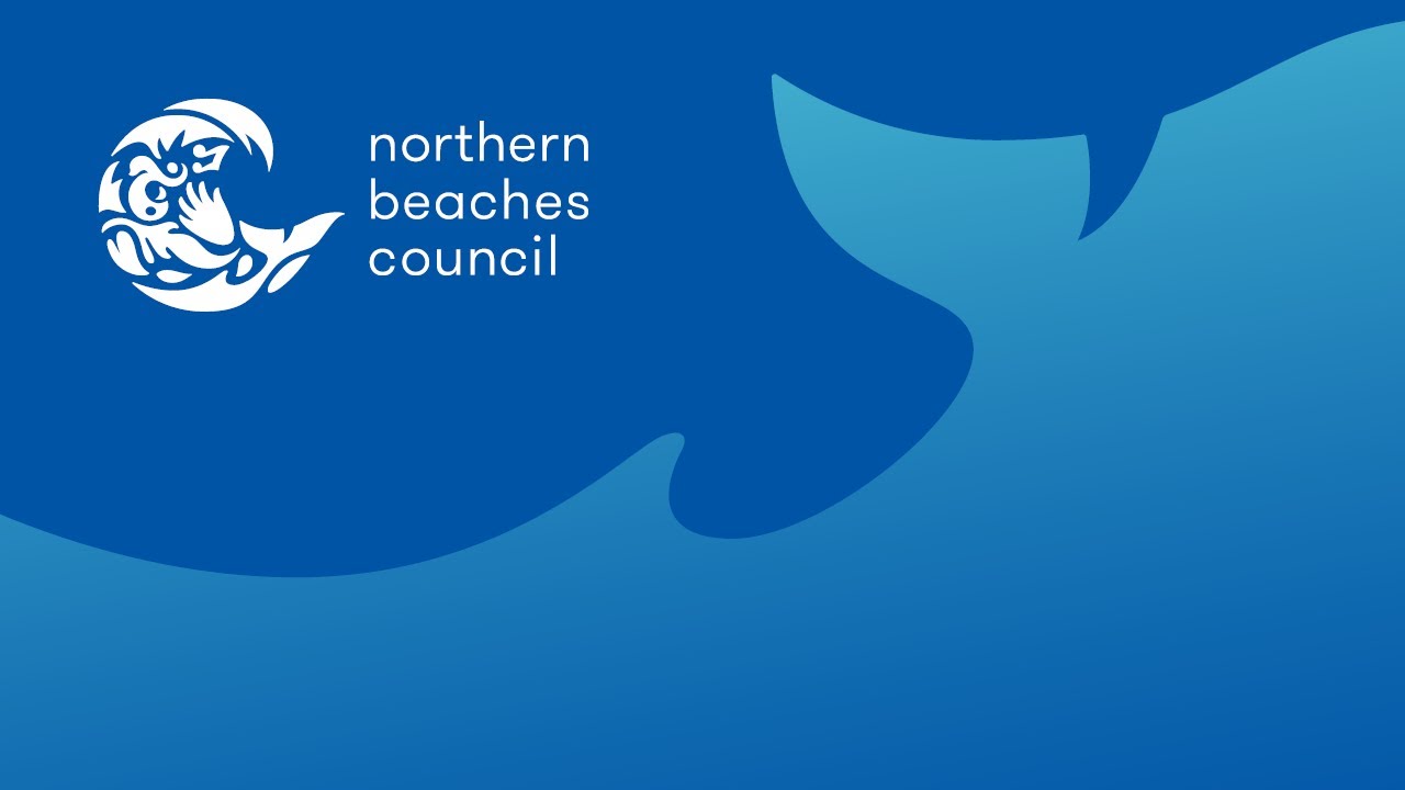 Council Meeting - 2025 11 18
