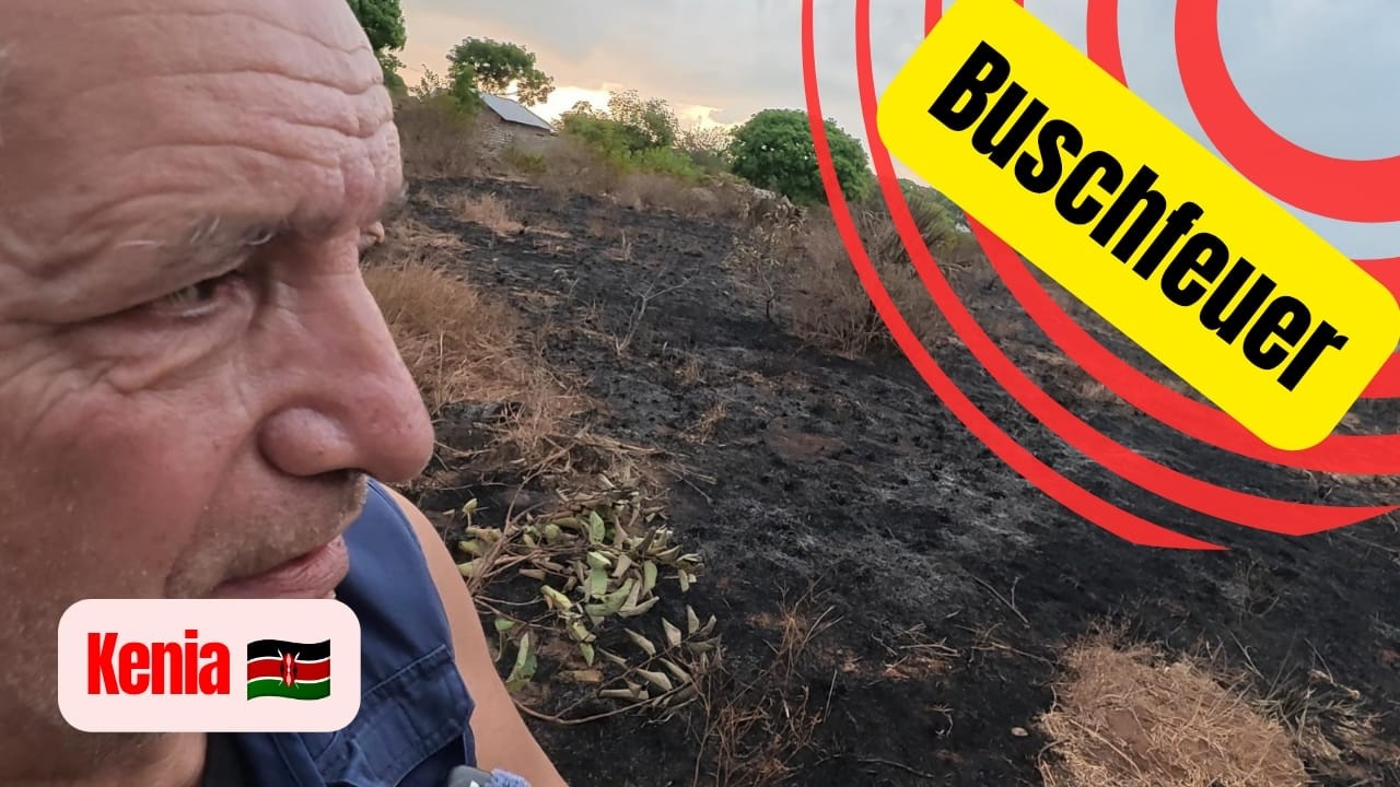 Ukunda Diani Beach: BUSCHFEUER auf Nachbargrundstück