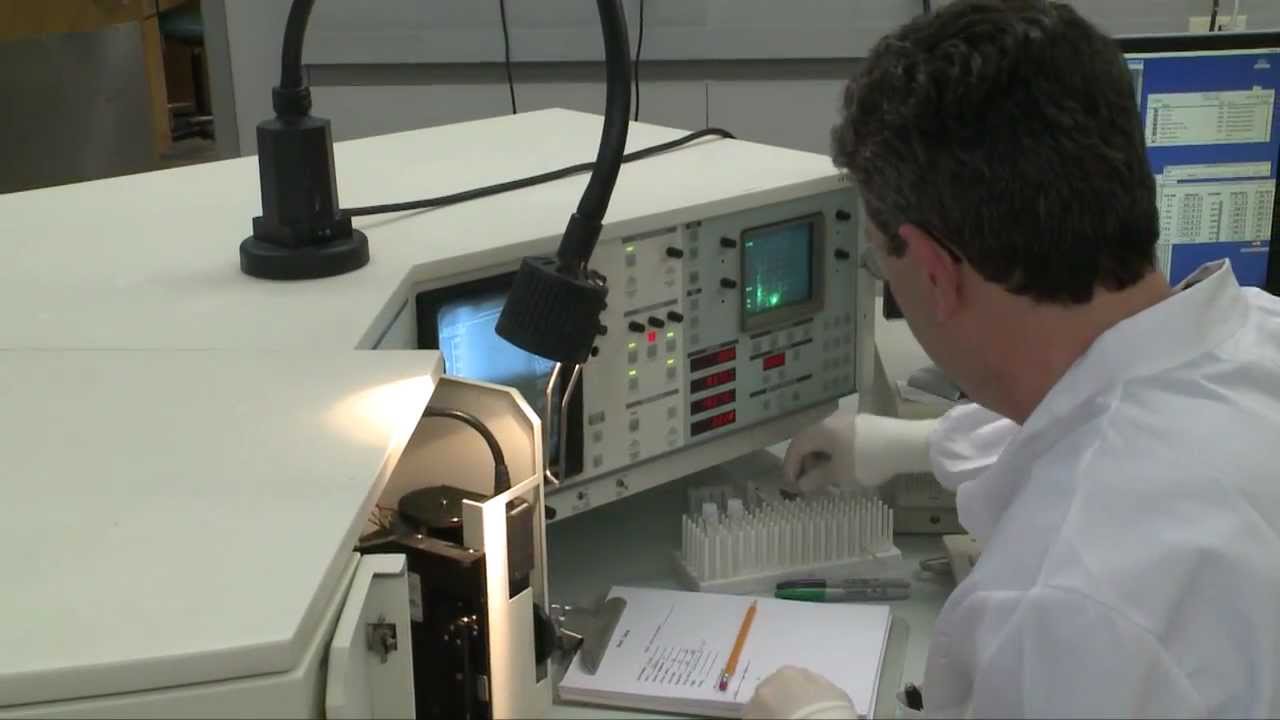 Kidney recipients live life free of anti-rejection medication