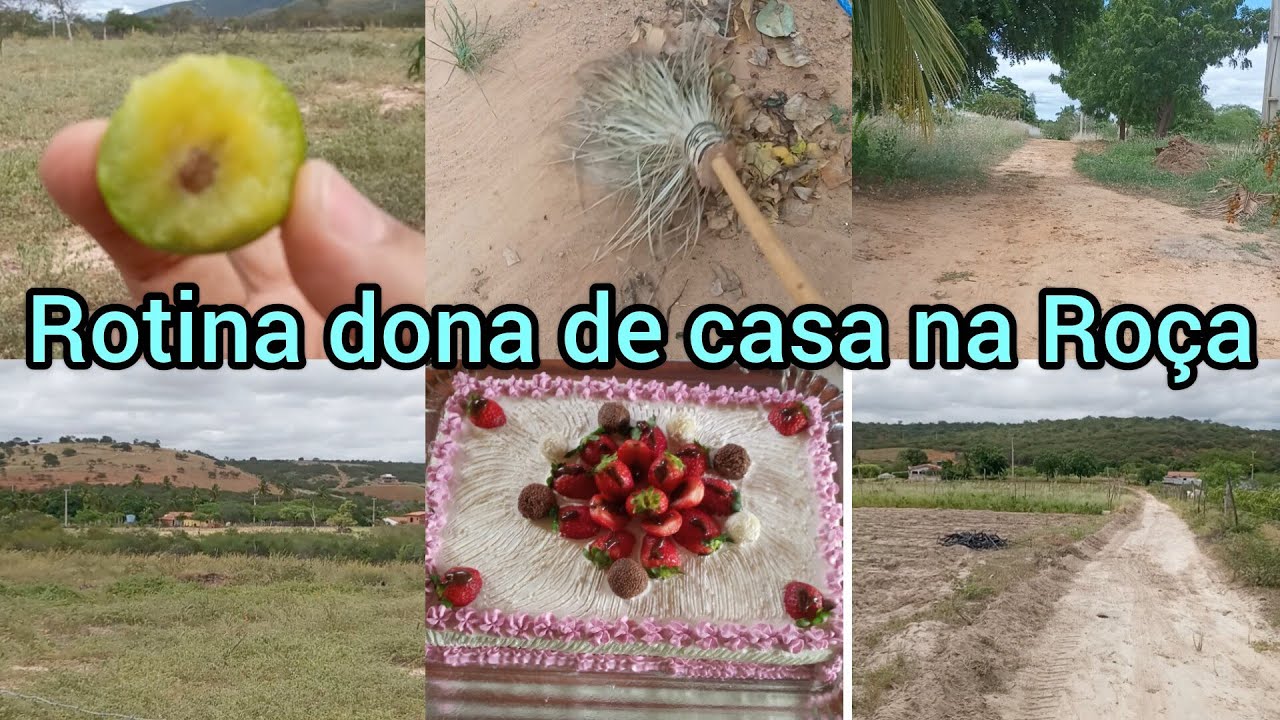 Rotina na roça estrada nova achei umbu varri terreiro meu café da manhã fiz bolo de aniversário  