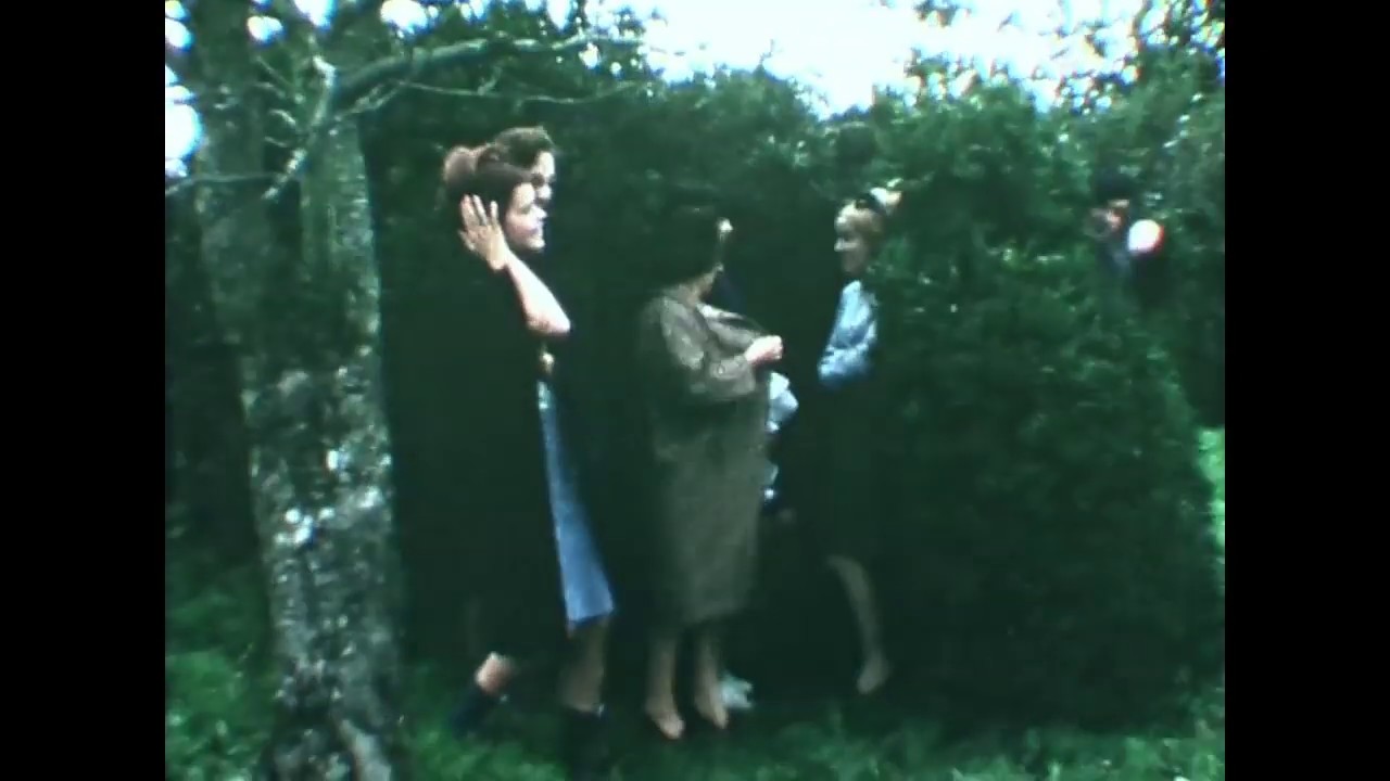 Arbre de Corinne Nov  1966