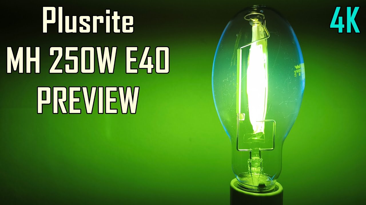 Plusrite Metal Halide lamp PREVIEW (MH250/ED90/D/E40)