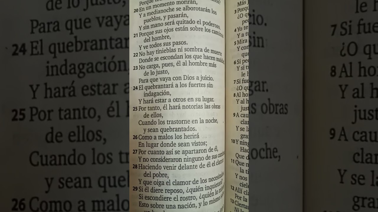 Palabra 