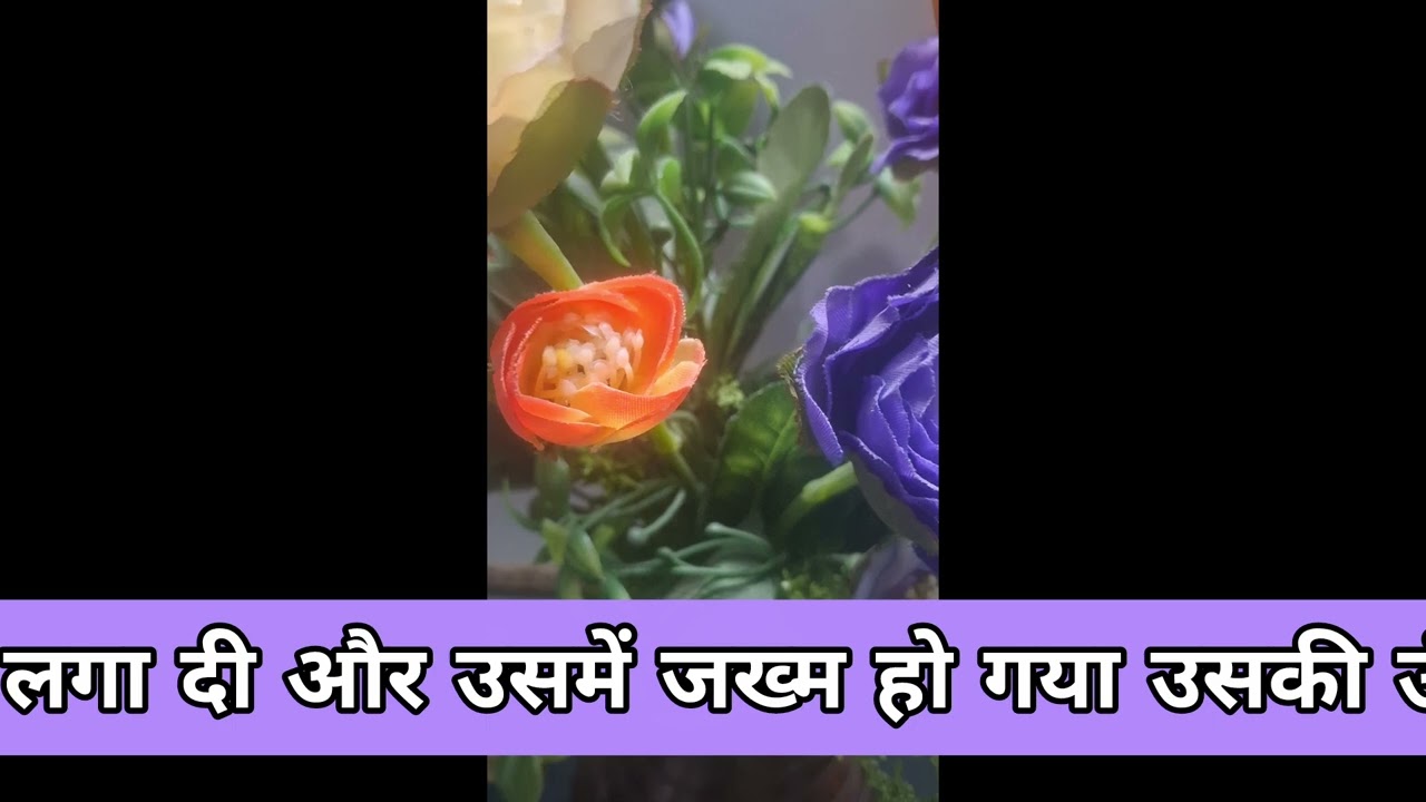 Hmme har kary savdhani aur dhyan se krna chahiye