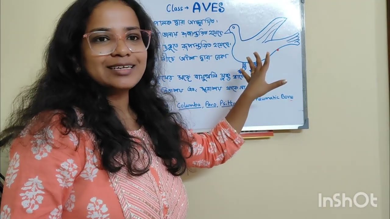 WBBSE||AVES AND MAMMALIA||CLASS 9| #class9 #class11 #lifescience #wbbse #aves #mammalia 