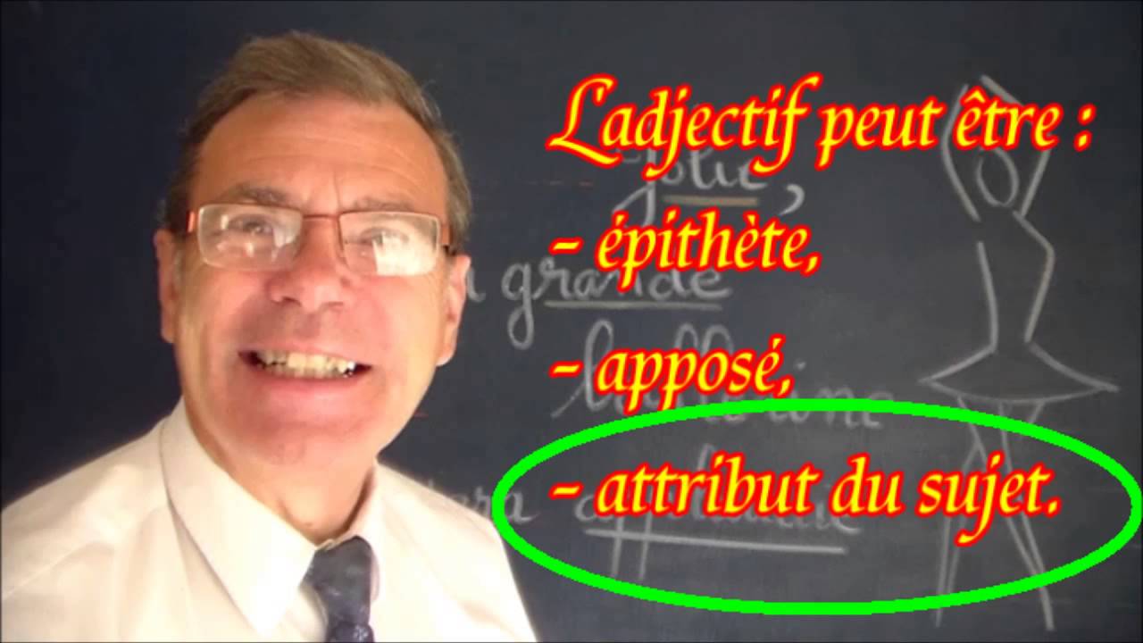 Adjectif qualificatif : épithète, apposé, attribut du sujet et accords : Grammaire