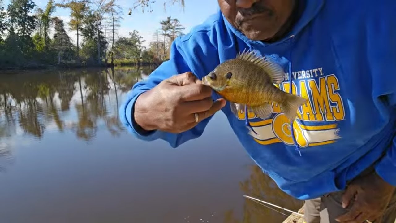 I Fished 5 Bodies of Water in 6 Hours!!!