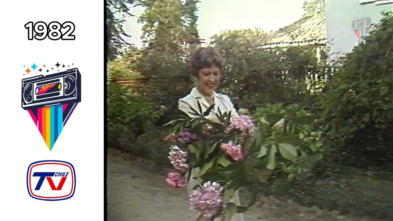 📺 Tandas Comerciales 1982 – TVN | ArchretroTV