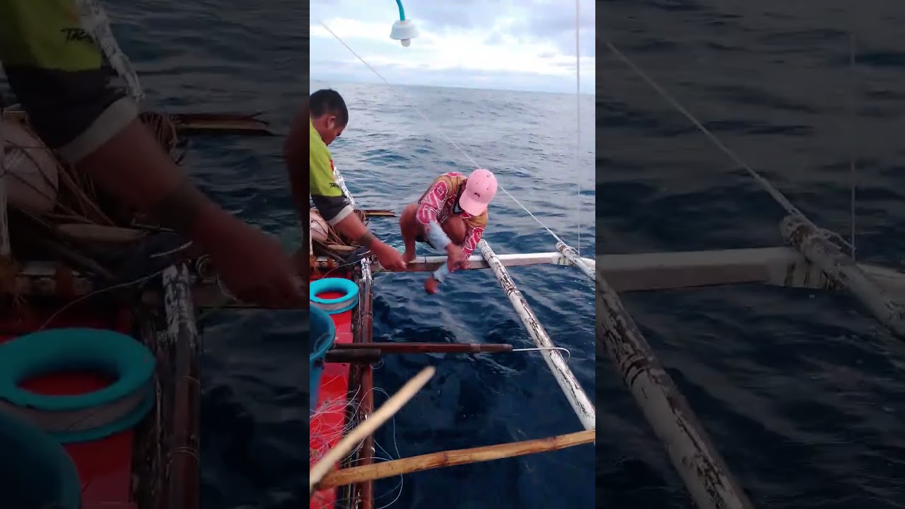 Big catch blue marlin #entertainment #fishing 