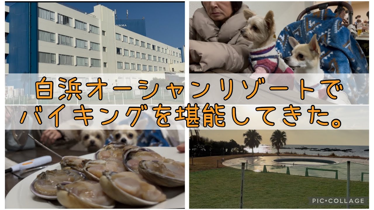 大好きなお宿で爆食いしてきました。