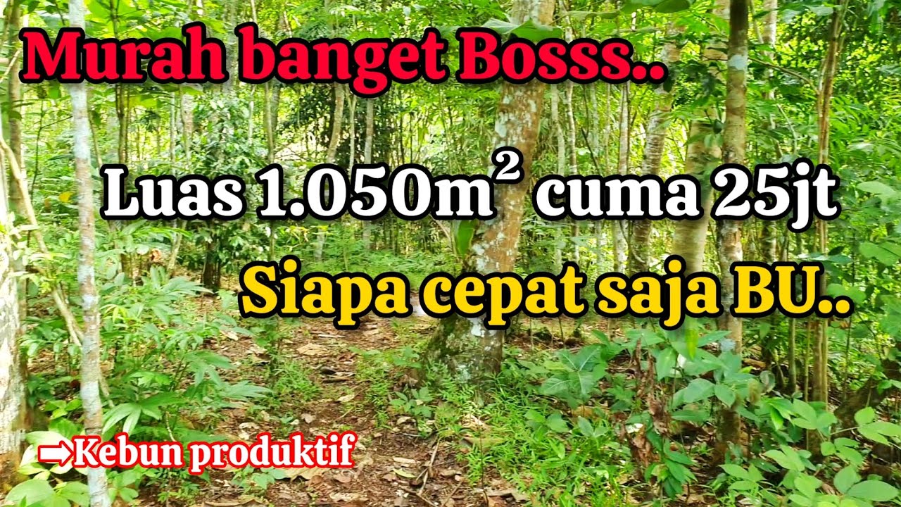 TANAH MURAH DIJUAL‼️ Super murah banget Luas 1.050m² cuma 25jt saja Buruannn siapa cepat