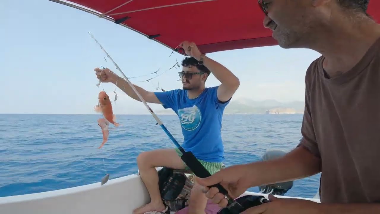 Daiwa Tanacom  ile Lipsoz Avı Sarıgerme