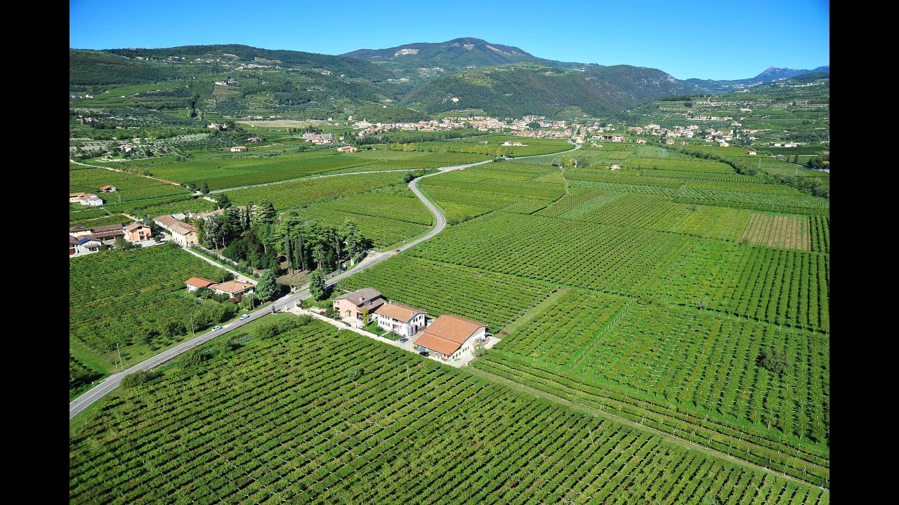 Azienda Agricola Spada