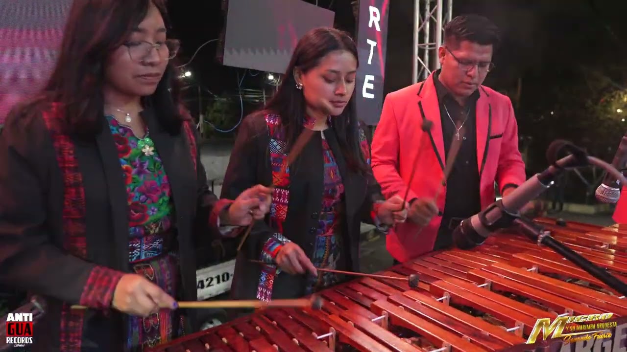 La Cobra / El Trenecito - Micro Salazar y su Marimba Orquesta