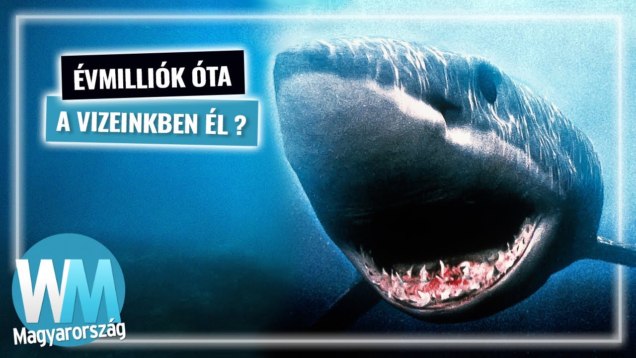 Top 10 kihalt állat, melyek talán mégsem haltak ki