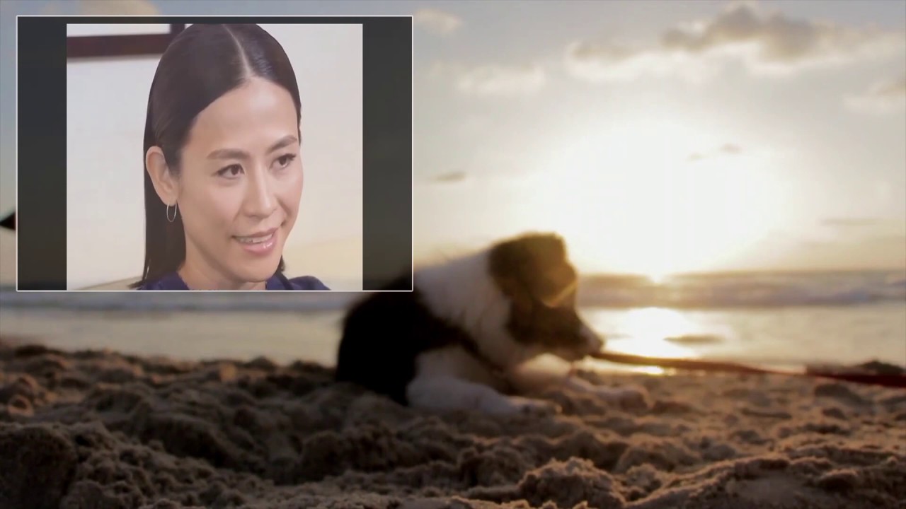 Can't Fight This Feeling Anymore - Louis Koo (古天樂), Jessica Hsuan (宣萱)