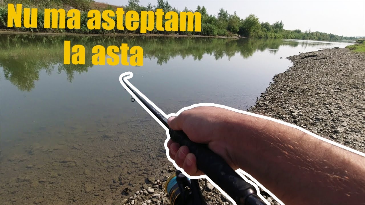 Provocări și incercări pe Arges - BATALIA - partea I
