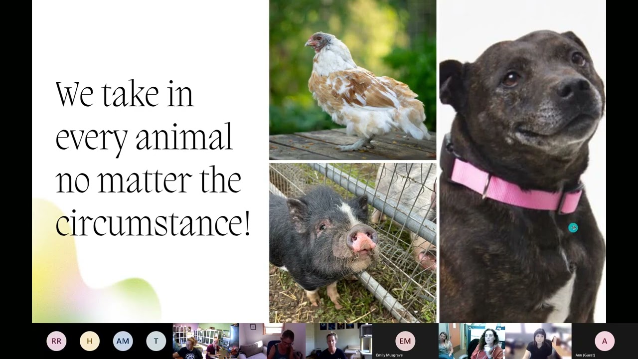 Adoptability Discussion and Volunteer Meeting