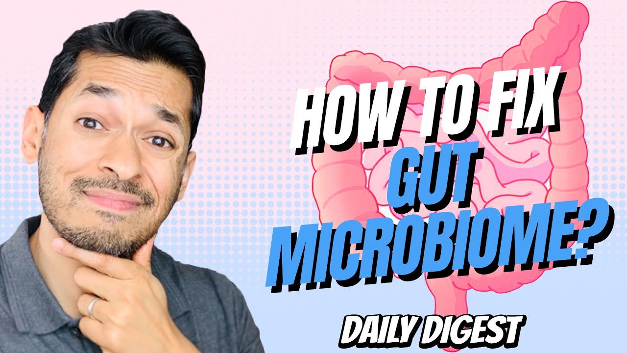 How To Fix Gut Microbiome After Antibiotics?