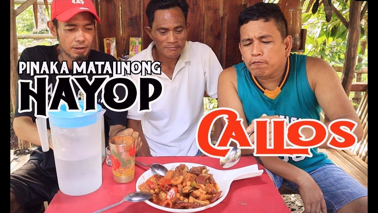 CALLOS | ANO ANG PINAKA MATALINONG HAYOP?