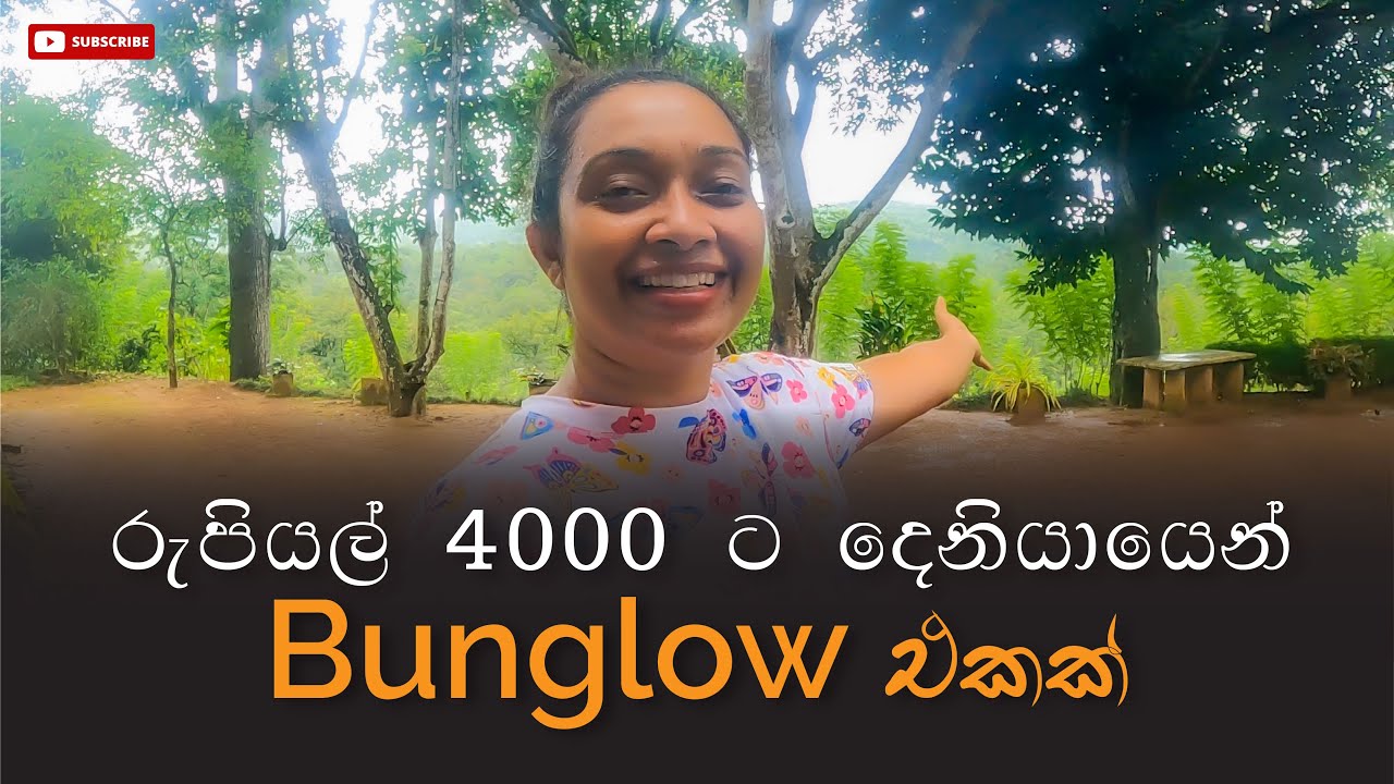 රුපියල් 4000ට දෙනියායෙන් Bungalow එකක් Budget Hotels in Sri Lanka | Deniyaya #srilanka #deniyaya