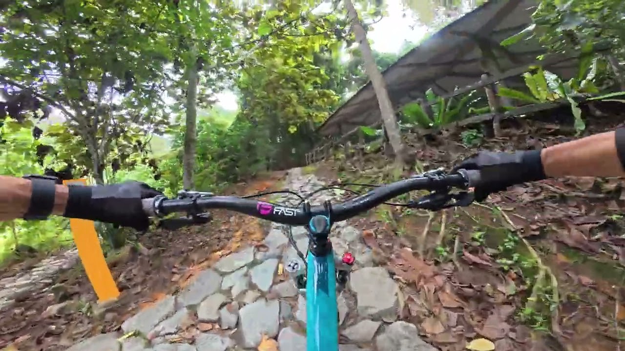 Meeting regular suspects at Bangkit Hut