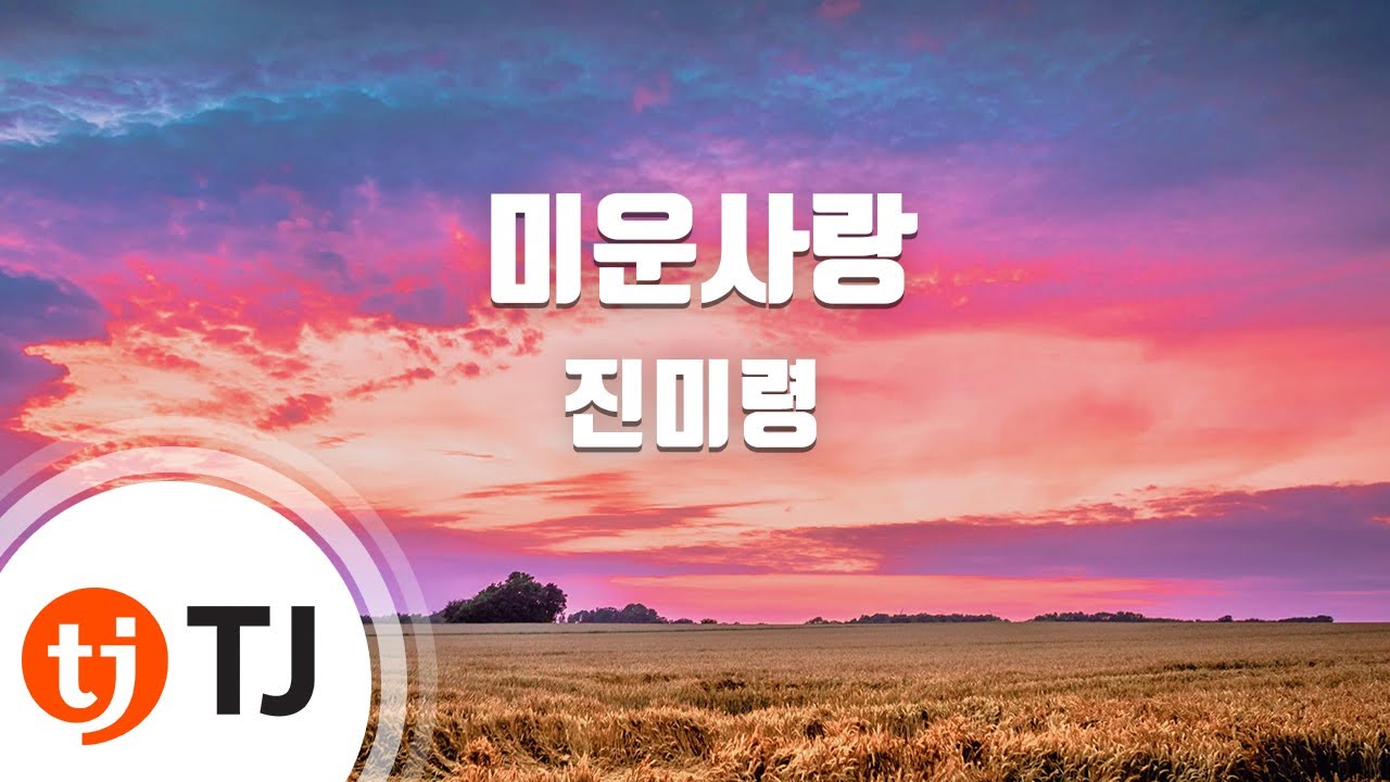 [TJ노래방] 미운사랑 - 진미령 / TJ Karaoke