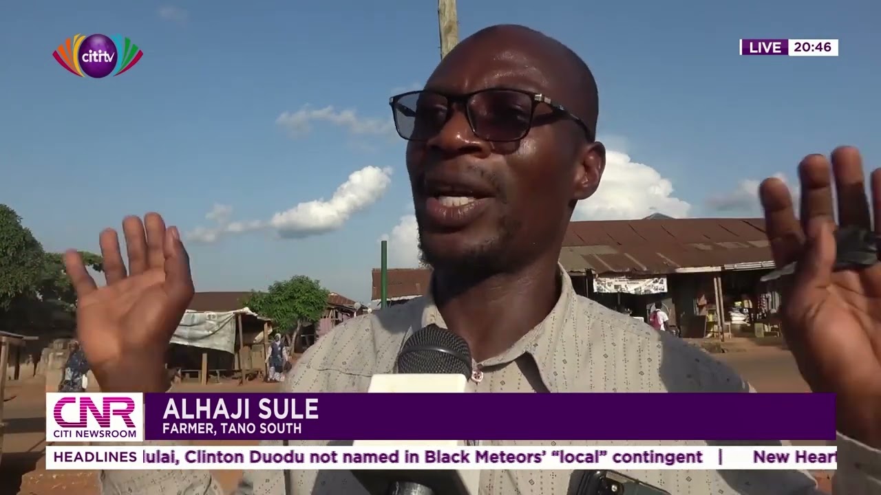 Residents of Tano South bemoan alleged destruction of farm yields by cattle of nomads | CNR