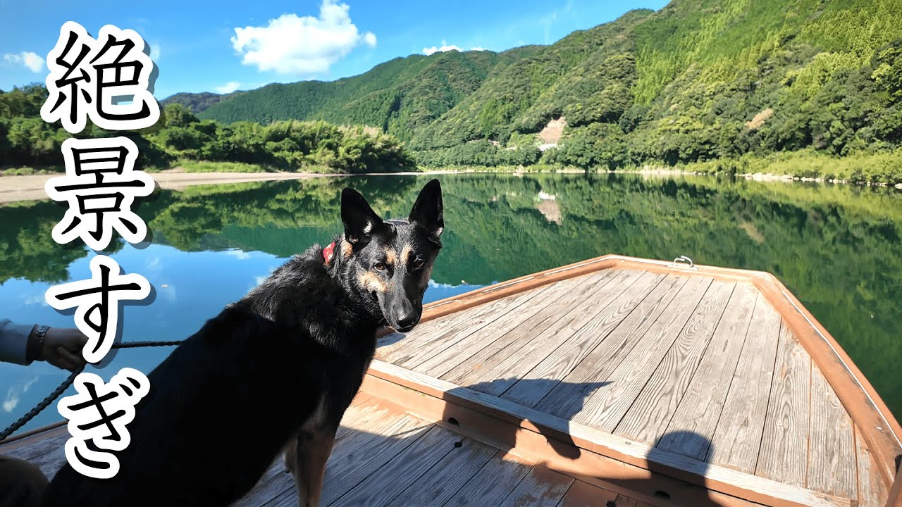 四万十川で愛犬と一緒に屋形船に乗ったら、絶景すぎた！【ジャーマンシェパード】