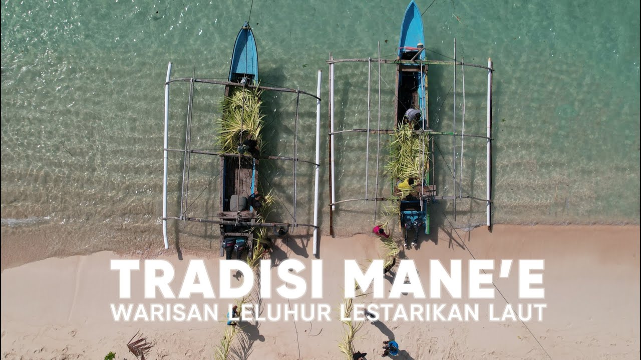 Tradisi Mane'e, Warisan Leluhur Lestarikan Laut