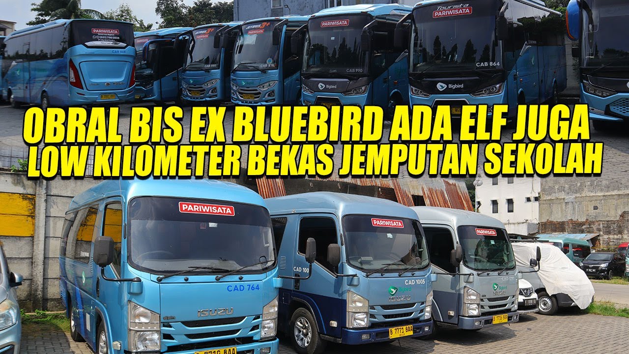 MASIH MULUS MULUS BUS DAN ELF EX BLUEBIRD DI OBRAL SEGINI HARGANYA