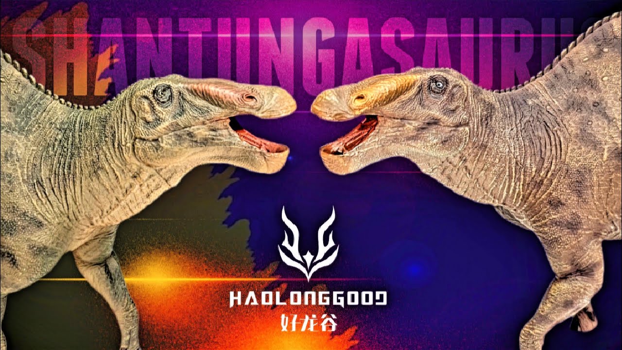 Haolonggood Shantungasaurus Review!!! Both versions! It's huge!