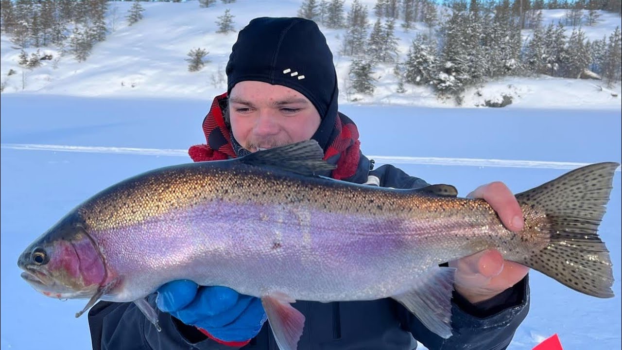 Exploring & Teaching How To Catch Stock Trout  @Viking Lodge #Elementcustombaits #Timber