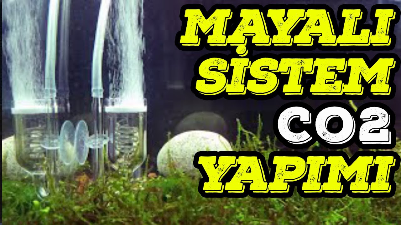 Bitkili Akvaryumda Mayalı Sistem ile CO2 Yapımı (DIY)