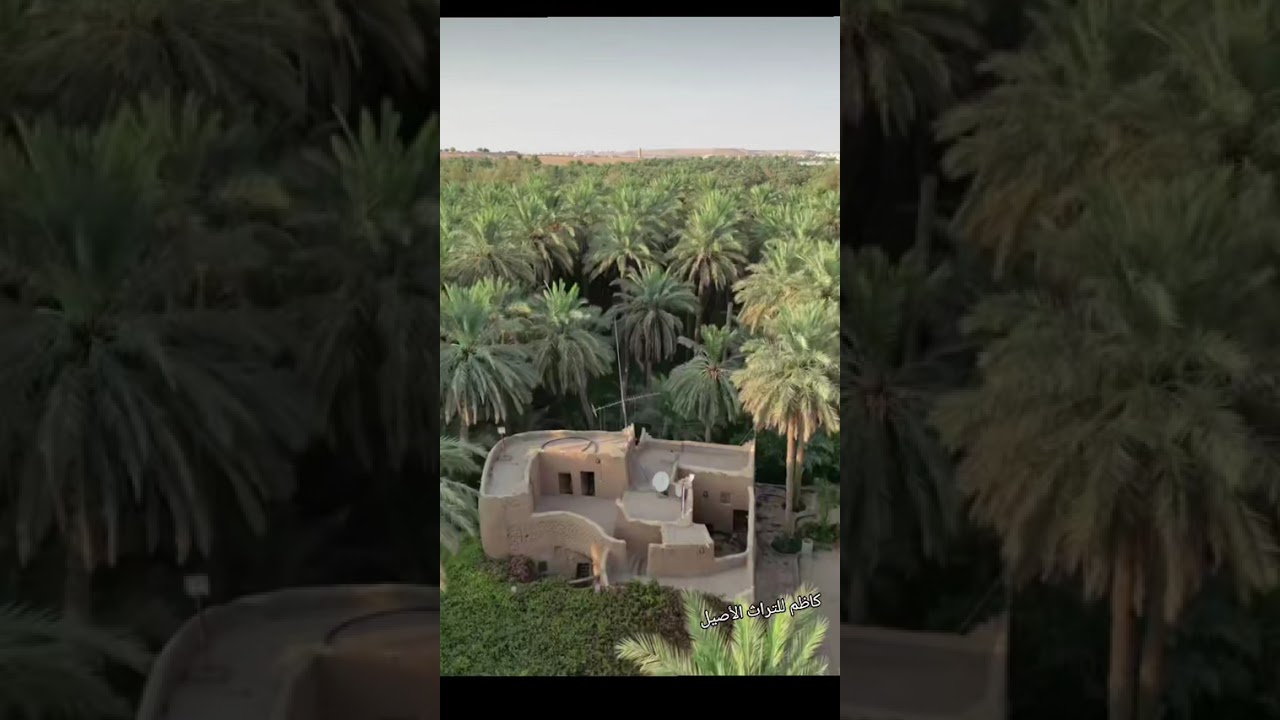 الكبير فرج وهاب وسيد جليل
