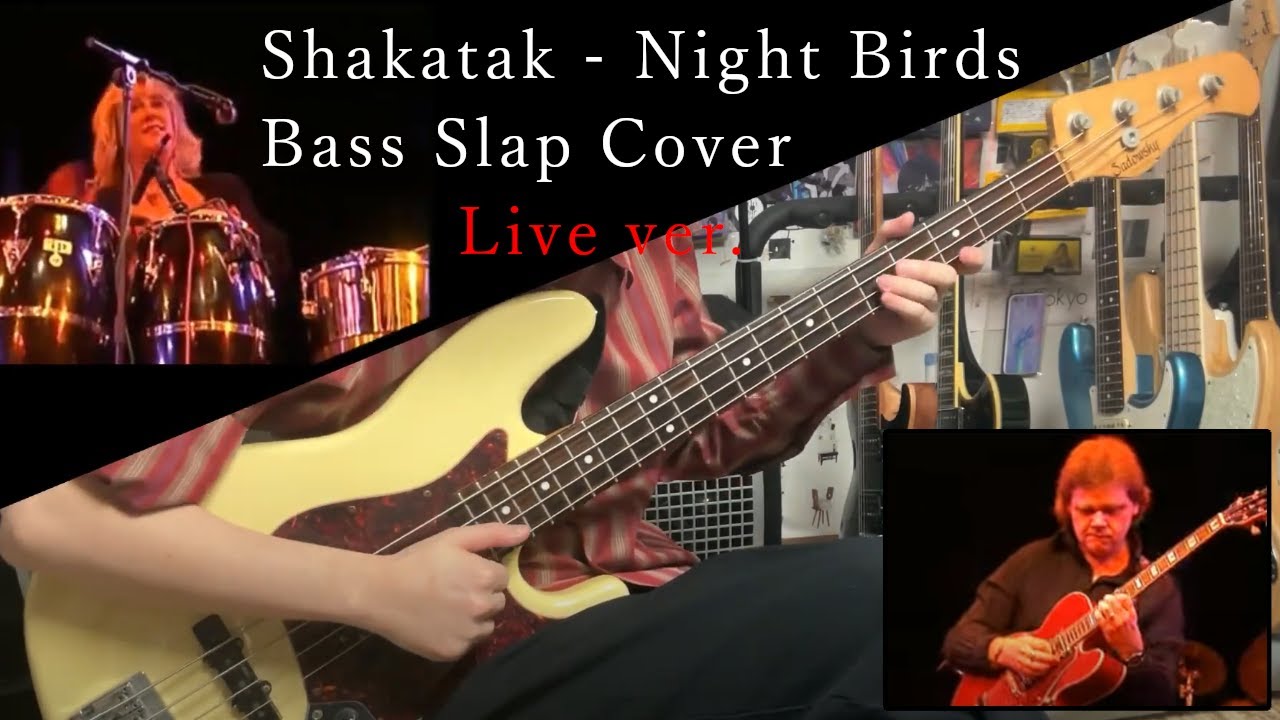 Shakatak - Night Birds - Bass Slap Cover(ベーススラップカバー) Live ver. by yopino